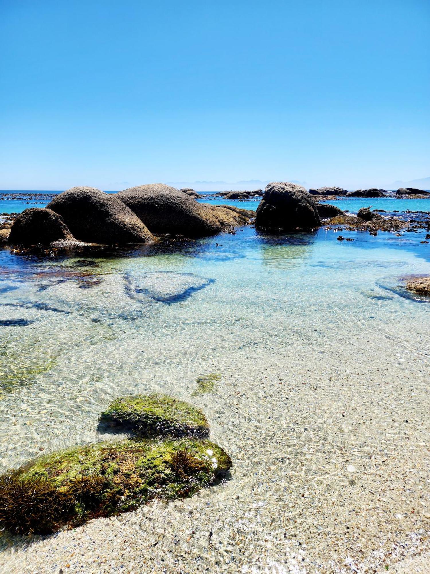 Bed and Breakfast The Tides Simonʼs Town Exteriér fotografie